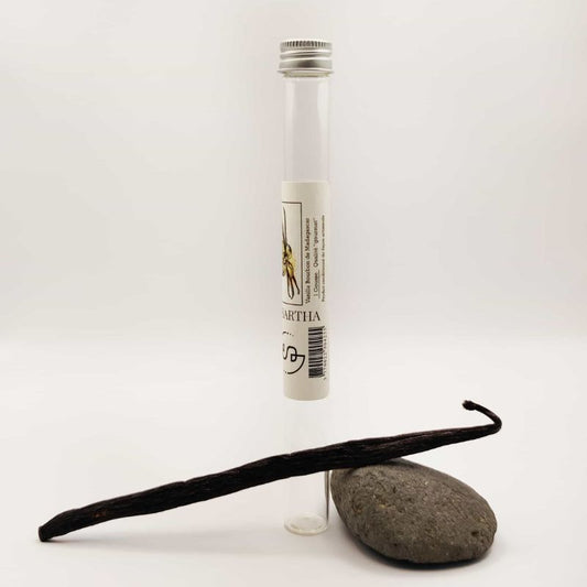 Vanille bourbon de Madagascar noire gourmet une gousse allongée devant le tube